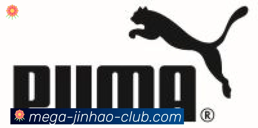 金豪棋牌官网合作伙伴